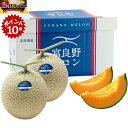 ★7/20 23:59までポイント10倍★【夏の贈りもの】北海道産(JAふらの) ふらのメロン 秀品