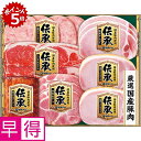 ★10/15 23:59までポイント5倍★【冬の贈りもの早得】伊藤ハム国産豚肉使用「伝承」 型番:DSB-40