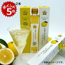 ★10/25 23:59までポイント5倍★【二ッ堀農園】ふるーつビネガーニューサマーオレンジ 200ml×2本