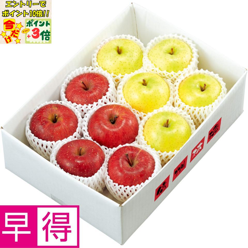 ★ポイント3倍&エントリーで更に+10倍!!★【冬の贈りもの早得】長野県産(JAながの山ノ内地区)サンふじりんごと王林(各秀品、各2L~Lサイズ、各4~5個)