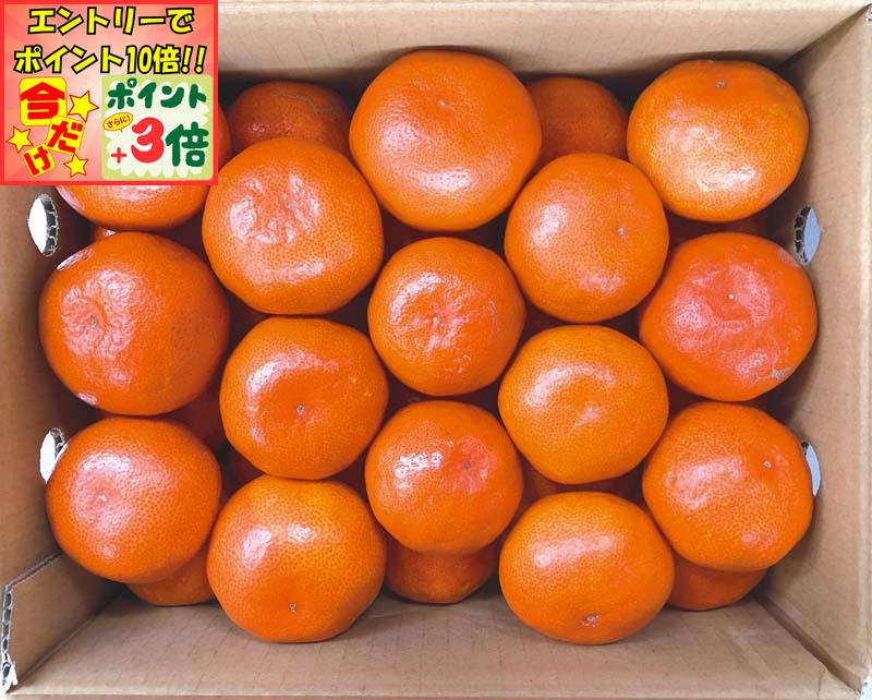 ★ポイント3倍＆エントリーで更に+10倍!!★【冬の贈りもの】香川県産 金時紅みかん(4)