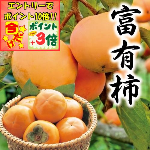 ★ポイント3倍＆エントリーで更に+10倍!!★【柿ギフト】岐阜県産冨有柿 袋掛け 2Lサイズ（10玉〜14玉）