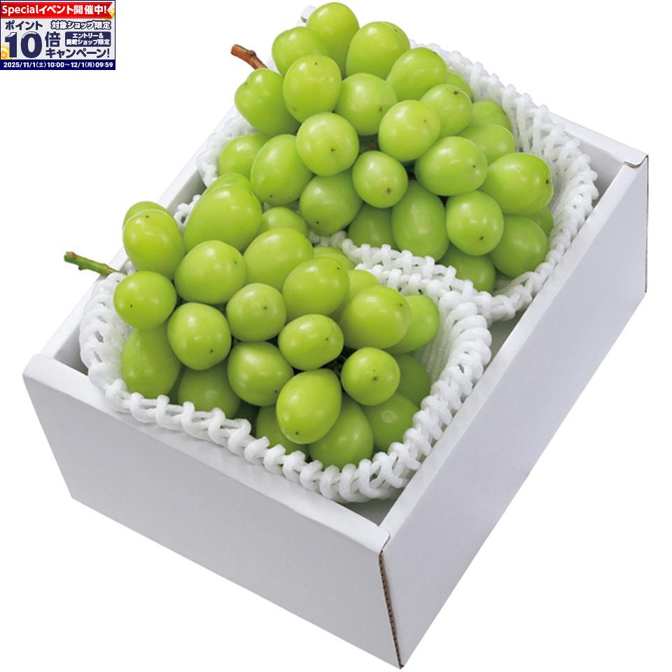 ★エントリーでポイント10倍★【冬の贈りもの】岡山県産シャインマスカット 2房入り計1．1kg以上