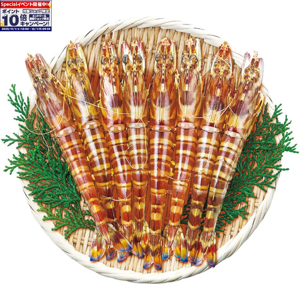 ★エントリーでポイント10倍★【冬の贈りもの】幸福堂無投薬熊本県産活車えび（養殖）250g