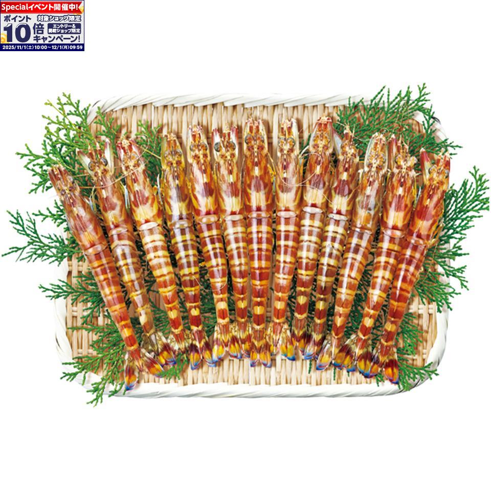 ★エントリーでポイント10倍★【冬の贈りもの】幸福堂無投薬熊本県産活車えび（養殖）400g