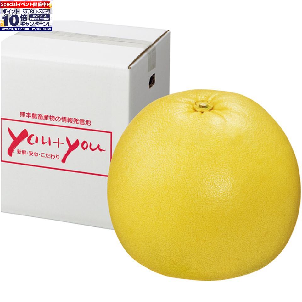 ★エントリーでポイント10倍★【冬の贈りもの】熊本県産晩白柚(4)
