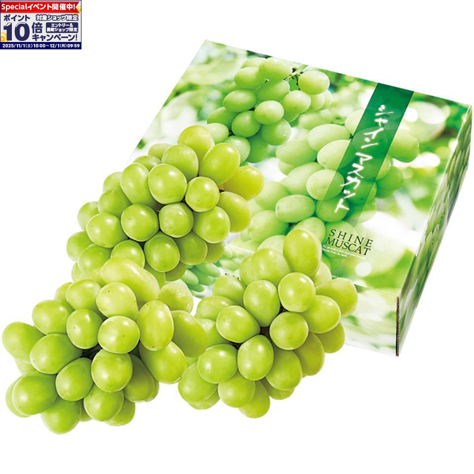 ★エントリーでポイント10倍★【冬の贈りもの】長野県産冷蔵シャインマスカット