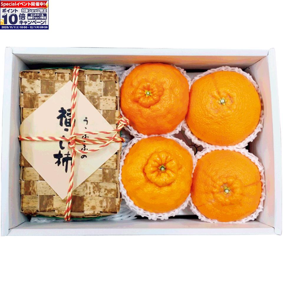 ★エントリーでポイント10倍★【冬の贈りもの】和歌山県産あんぽ柿（竹籠）＆しらぬい（不知火）