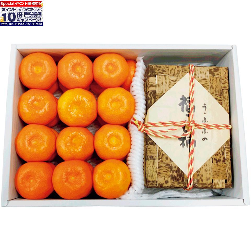 ★エントリーでポイント10倍★【冬の贈りもの】和歌山県産あんぽ柿（竹籠）＆有田みかん