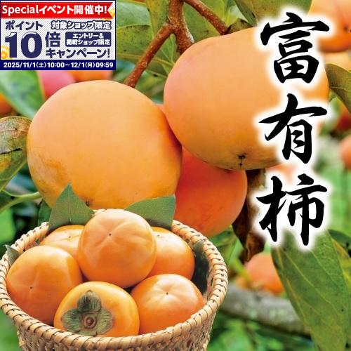 ★エントリーでポイント10倍★【柿ギフト】岐阜県産冨有柿 2Lサイズ 36玉