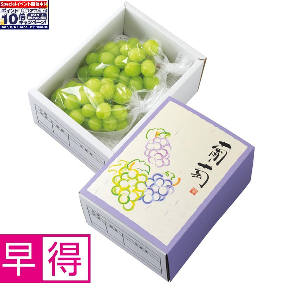 ★エントリーでポイント10倍★【冬の贈りもの早得】長野県産シャインマスカット 2房（1kg以上）