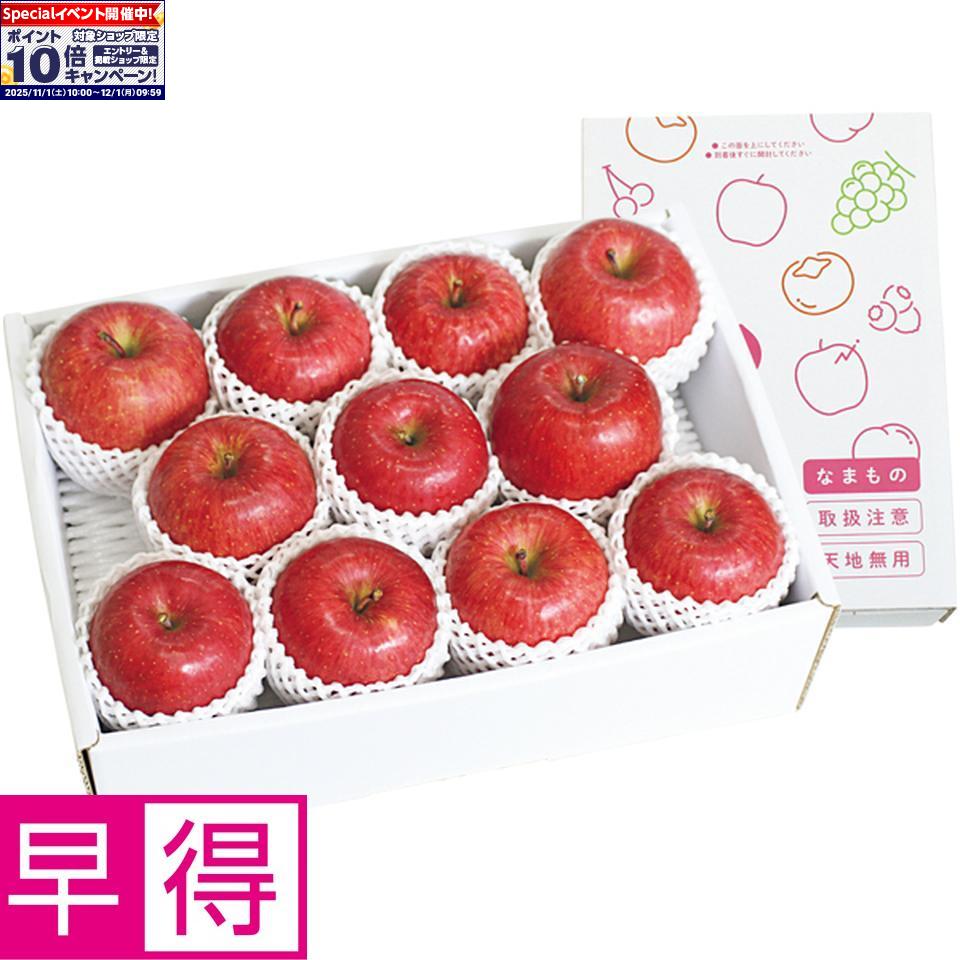 ★エントリーでポイント10倍★【冬の贈りもの早得】福島県産（飯坂）木村さん自慢のサンふじりんご 秀品、L又は2Lサイズ、9〜11個、計3kg以上(4)