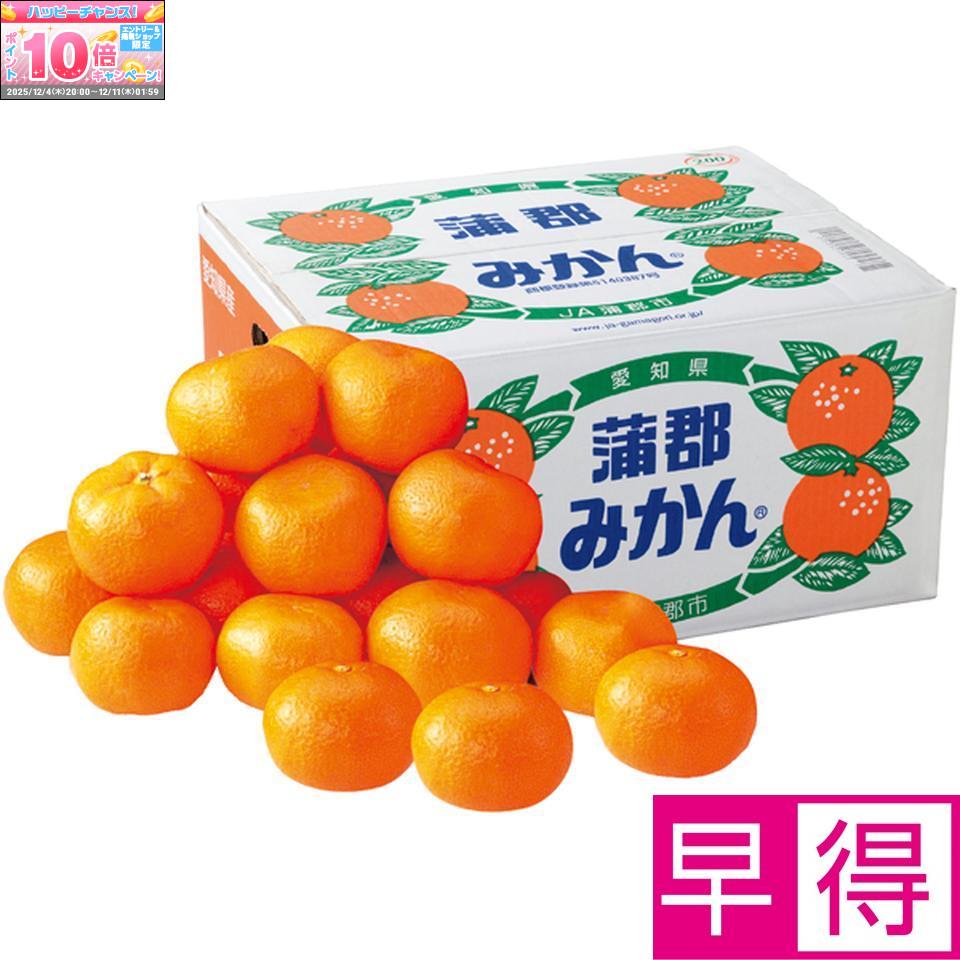 ★エントリーでポイント10倍★【冬の贈りもの早得】愛知県産蒲郡みかん10kg