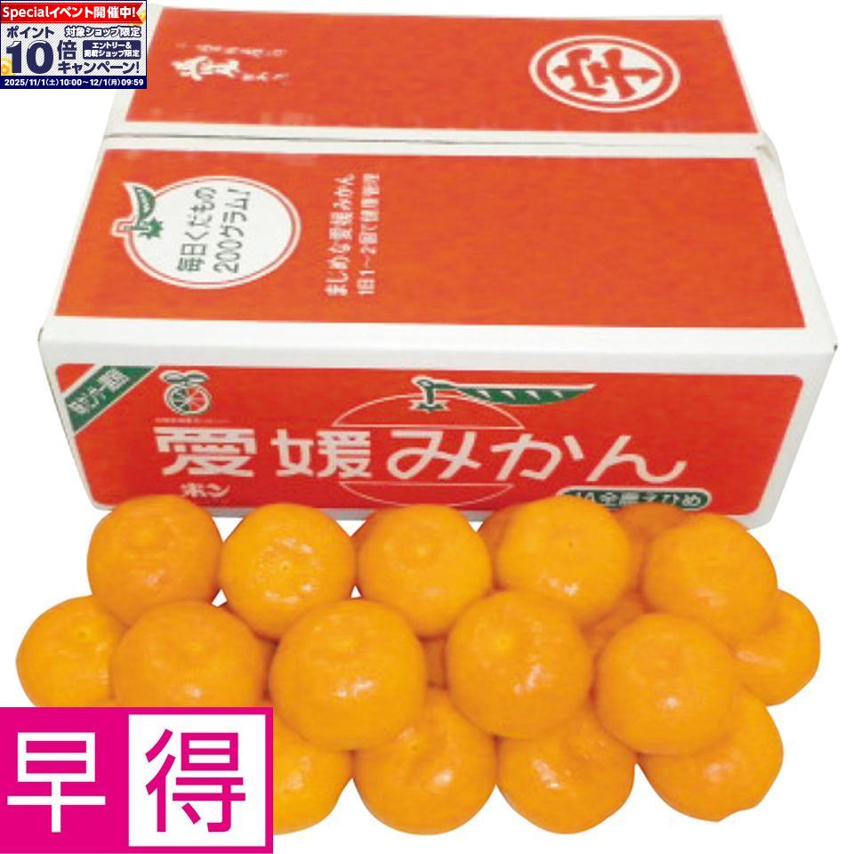 ★エントリーでポイント10倍★【冬の贈りもの早得】愛媛県産（JAえひめ南玉津選果場）玉津みかん(4)