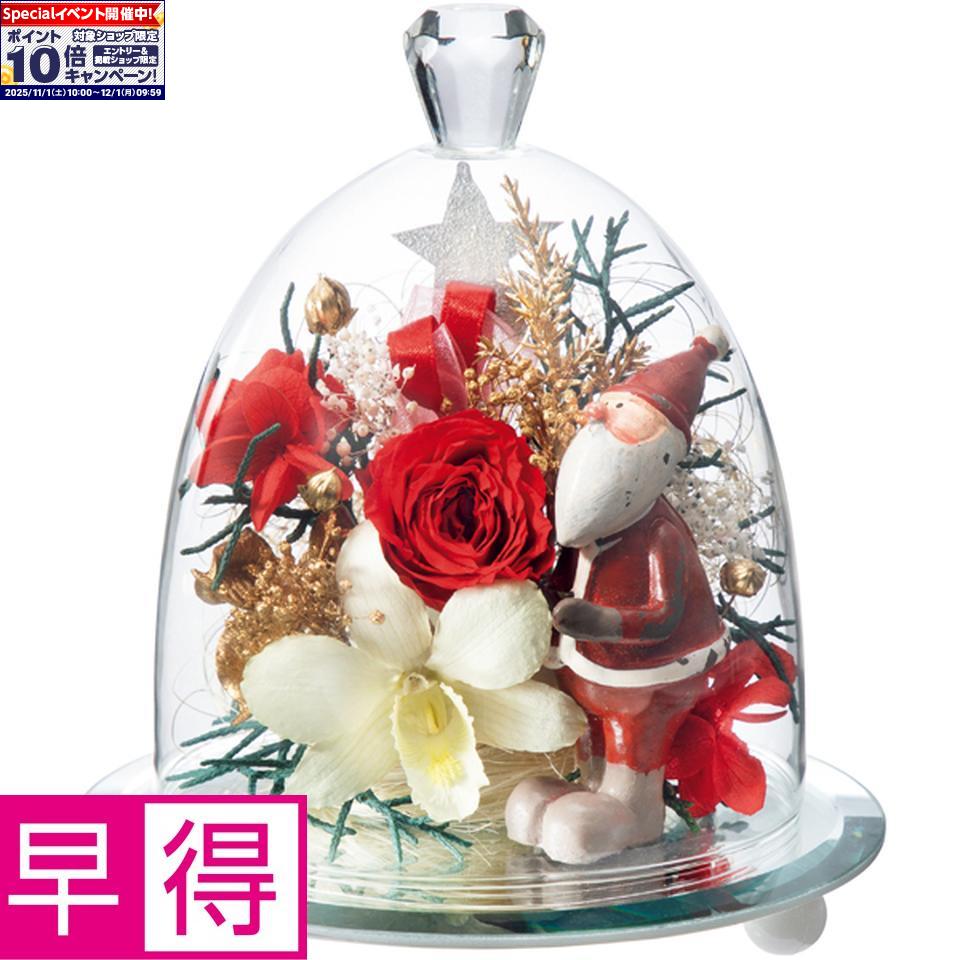 ★エントリーでポイント10倍★【冬の贈りもの早得】Lunaジュエル・フルール「クリスマス」