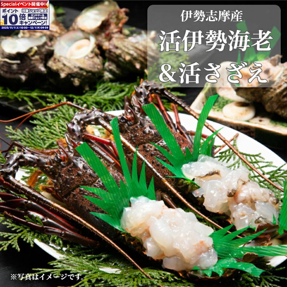 ★エントリーでポイント10倍★【南伊勢町 丸池】伊勢志摩産 活伊勢海老＆活さざえ Cセット(活伊勢海老 6..