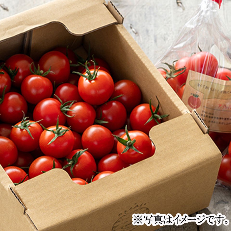 【岐阜 スマイルふぁーむ】アルル(ミニトマト) 1760g ※出荷は毎週火・金曜です。