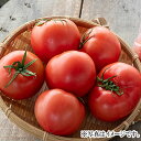 【岐阜 スマイルふぁーむ】大玉トマト 2kg ※出荷は毎週火・金曜です。