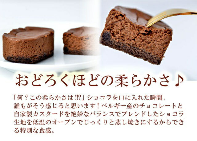 早割クーポン とろけるチーズケーキ と とろけるショコラ のセットです とろけるチーズケーキ10個 とろけるショコラ5個 Klassika Lv