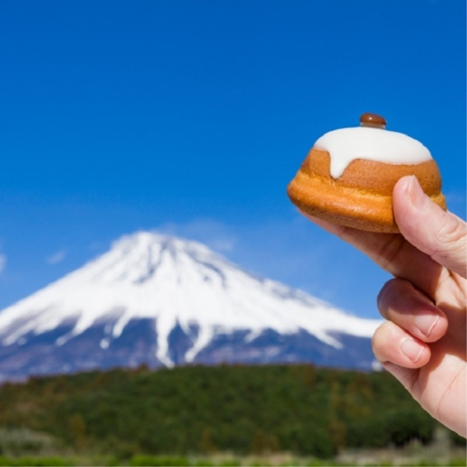 【静岡県田子の月】富士山頂_16個入