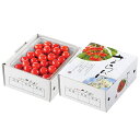 【さくらんぼギフト】JAてんどう 紅秀峰 秀L〜2L バラ詰め 約500g
