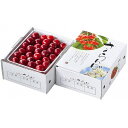 【さくらんぼギフト】【数量限定50箱】JAてんどう 山形美人 秀L バラ詰め 約500g