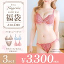 【福袋】ランジェリー3点セット (ブラジャー&ショーツセット3点) レディース 下着 勝負下着 可愛い 上品 10代 20代 30代 40代 セクシー ブラ シ...