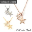 リルワンスター ネックレス SUS304 スター&スター ステンレス 健康 スポーツ ユニセックス 金属アレルギー対応 活性化鉱水 Lill one STAR ...