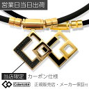 【P10倍】コラントッテ ネックレス TAO AURA プレミアム ゴールド 磁気ネックレス colantotte カーボン 正規品 タオ アウラ 肩こり 解消...