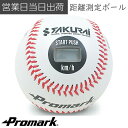 速球王子 野球 Promark プロマーク 球速 スピード 測定器 投球練習 サクライ貿易 LB-990BCA ギフト プレゼント 母の日