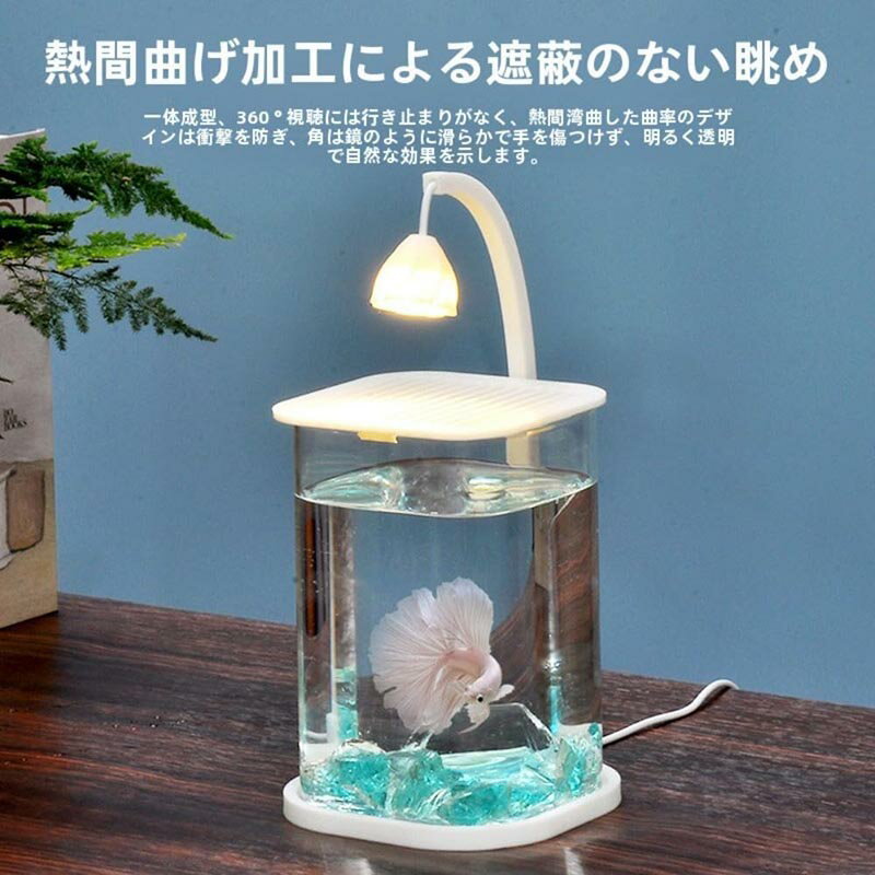 水槽セット 金魚鉢 金魚 飼育 アクアリウム 容器 透明 熱帯魚 メダカ 家庭用金魚鉢 おしゃれ 水族館 インテリア 透明ガラスボトル 室内アイテム 装飾的な 家庭 応接室 営業所 小型水槽 癒し水景 LEDライト付 初心者にやさしい 卓上小型水槽 2