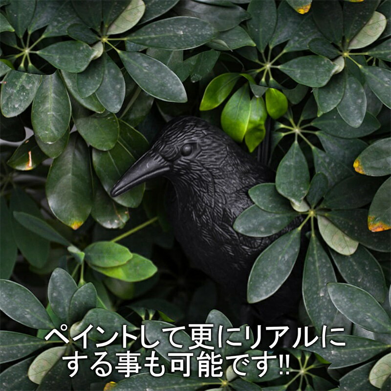 カラス除け スズメ 鳩 よけ 鳥避けグッズ 害鳥対策 ゴミ置き場 畑 農園