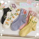 靴下 レディース 可愛い 春秋冬 ソックス 5足セット カラフルソックス おしゃれ カジュアル(4)