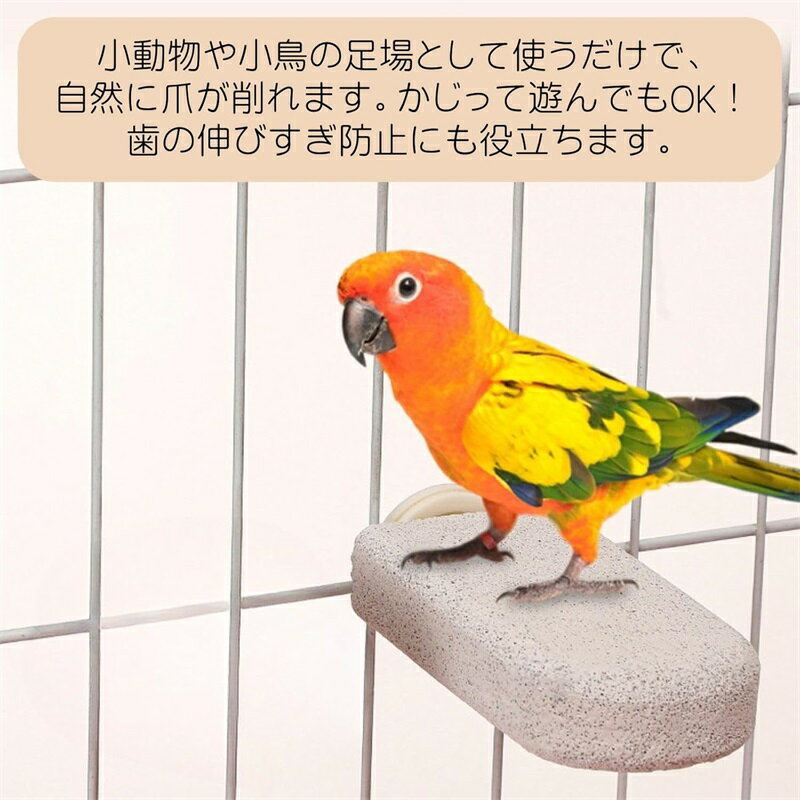 モモンガ ハムスター 爪研ぎ デグー 小動物 ステップ 軽石 かじり木 鳥 止まり木 ...
