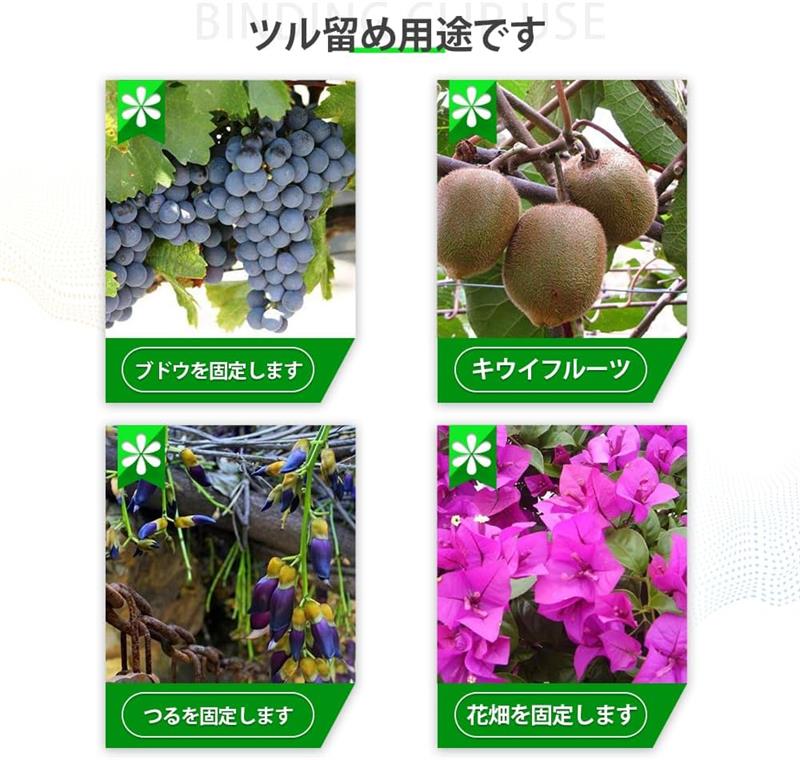 【100個入】植物サポート 植物用クリップ 誘引クリップ 支柱 園芸用クリップ 結束バンド つるクリップ 園芸用品 花のつる トマト つる植物誘引 園芸用 農業用