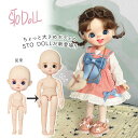 ドール 本体 STO DOLL 大きめボディ 人形 フルセット 女の子 男の子 球体関節人形 BJD 1/8 ドール本体＋メイクアップ＋アイ＋お洋服セット＋シューズ＋ウィッグ 13cm