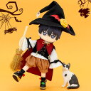 オビツ11 ドール 人形 服 ハロウィン 魔法使い ウィザード 5点セット トップス ボトムス ハット マント ベスト アウトフィット オビツ 11cm ob11 ねんどろいど オビツろいど 人形服 人形用服 衣装