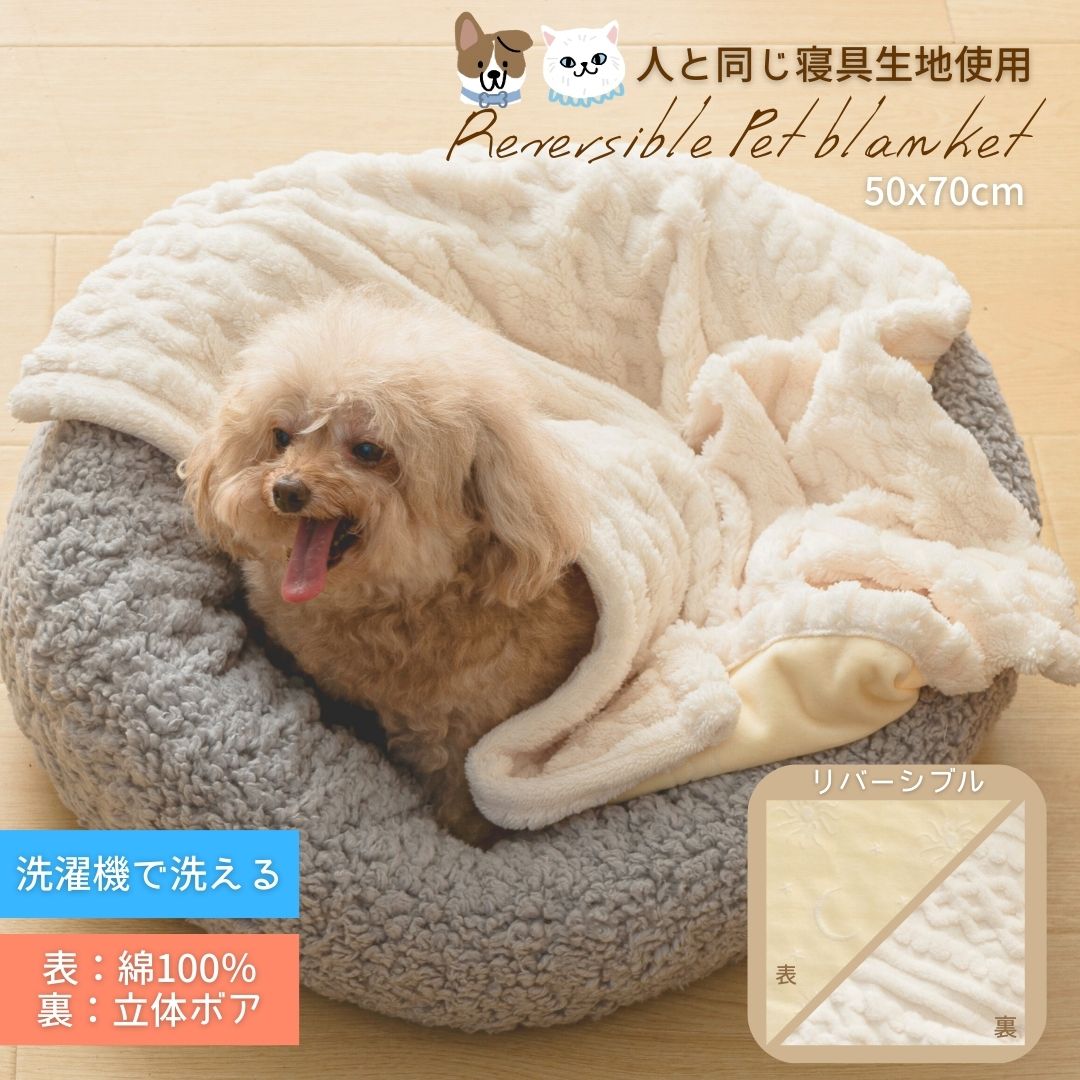 ���ָ���10��OFF ��100 �ܥ� �ڥå� ���� ��С����֥� �����֥��Ԥ��� 50x70cm ���� �ڥå����� ������� �ŵ����� �� ǭ ������ �����к�...