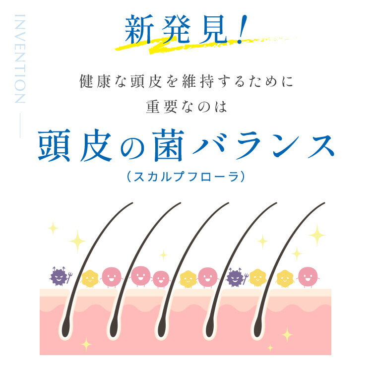 �ڸ����ۥ�����ץե�����֡������� �ޥ��ʥ���� Ƭ����Ƴ���� ���Ʊ� ���� ������ץե����� Ƭ�� ���̶�