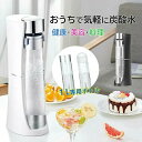 炭酸水メーカー 炭酸水/ソーダ/飲料作り 電源不要 炭酸水マシン 炭酸水製造機 保存時間長い 操作簡単 お手入れも簡単 健康 美容 料理 手作り 自家製 商用 自宅用 家庭用 2点専用1000mlボトル付き