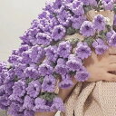 『SNSで話題沸騰』 花束ブランケット ブーケブランケット かぎ針編み・ニット製・手編みフラワーデザイン 洗える 恋人へのデート フラワーブランケット 誕生日 ...