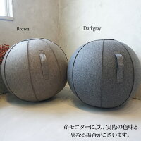 腰痛予防 腰やお尻が痛くなりがちなデスクワークに デスク 滑りにくい 体幹 オットマン 猫背 転がりにくい 事務所 65cm テレワーク 腰痛 テレワークにも最適 ファブリック チェア インテリア ボールチェア オフィスチェア 自宅勤務 ヨガ 65cm バランスボール ストレッチ 腰痛予防 腰やお尻が痛くなりがちなデスクワークに デスク 滑りにくい 体幹 オットマン 猫背 転がりにくい 事務所 65cm テレワーク 腰痛 テレワークにも最適 ファブリック チェア インテリア ボールチェア オフィスチェア 自宅勤務 ヨガ 65cm バランスボール ストレッチ