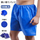 ペーパーショーツ 100枚入 使い捨てパンツ 紙ショーツ ペーパートランクス 個包装 レディース 男性用 下着 旅行 使い捨てショーツ 衛生 女性用 不織布 サ...