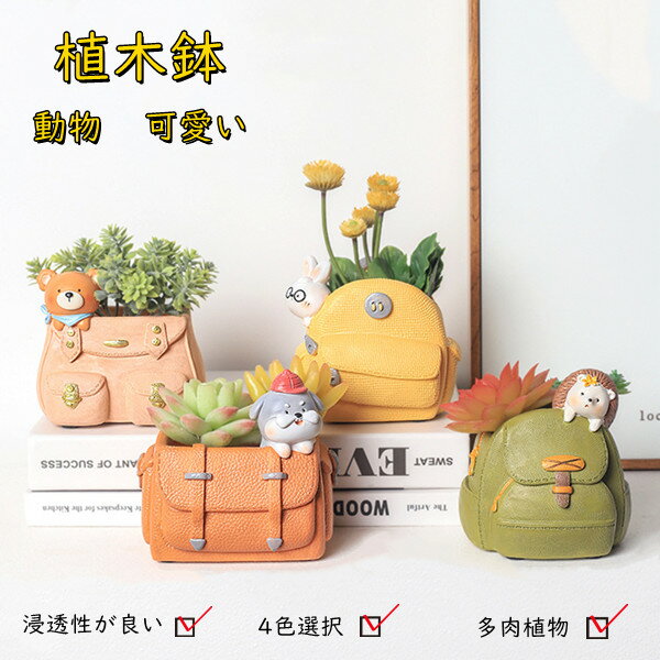 楽天市場】多肉 植物 うさぎ の(植木鉢・プランター 楽天市場】多肉 植物 うさぎ の(植木鉢・プランター
