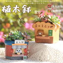 「新作7日限定クーポン配布中」 送料無料 植木鉢 アニマル かわいい 動物 母の日 ミニ 多肉 苔 コケリウム 苔リウム 鉢 樹脂 プランター 多肉植物 寄せ植...