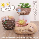 「新作7日限定クーポン配布中」 送料無料 植木鉢 園芸 樹脂 新生活 置物 ミニ 多肉 苔 容器 卓上 小物収納 雑貨 アニマル かわいい 動物 母の日 コケリ...