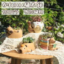 「新作7日限定クーポン配布中」送料無料 植木鉢 多肉植物 屋外装飾 インテリア装飾 寄せ植え 置物 樹脂 プランター アニマル かわいい カピバラ 母の日 ミニ...