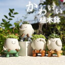 「新作7日限定クーポン配布中」送料無料 植木鉢 かわいい 小物収納 雑貨 多肉 苔 コケリウム 苔リウム 鉢 多肉植物 屋外装飾 インテリア装飾 寄せ植え 置物...