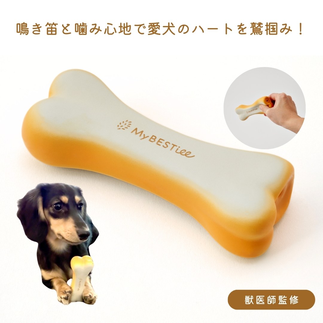 カミカミボーン ラテックストイ 愛犬用 獣医師 ペット用品取扱士 商品監修 誕生日 マイベスティー おもちゃ 音が鳴る 強い 丈夫 ペットトイ 玩具 ペット用品 かわいい ほね いぬのおもちゃ 犬のおもちゃ 犬用おもちゃ 鳴き笛 プレゼント 愛犬 犬 ペット お祝い 新生活 お花見