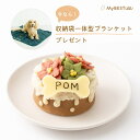 【MyBESTiee】愛犬用 ハッピーケーキ ステラ | ワンコケーキ 犬用ケーキ 誕生日 お祝い 国産 ヘルシー 低脂肪 低カロリー アニバーサリー プレゼント 記念日 パーティー 文字入れ 名入れ 犬 無添加 犬 ケーキ 愛犬 バースデー ケーキ